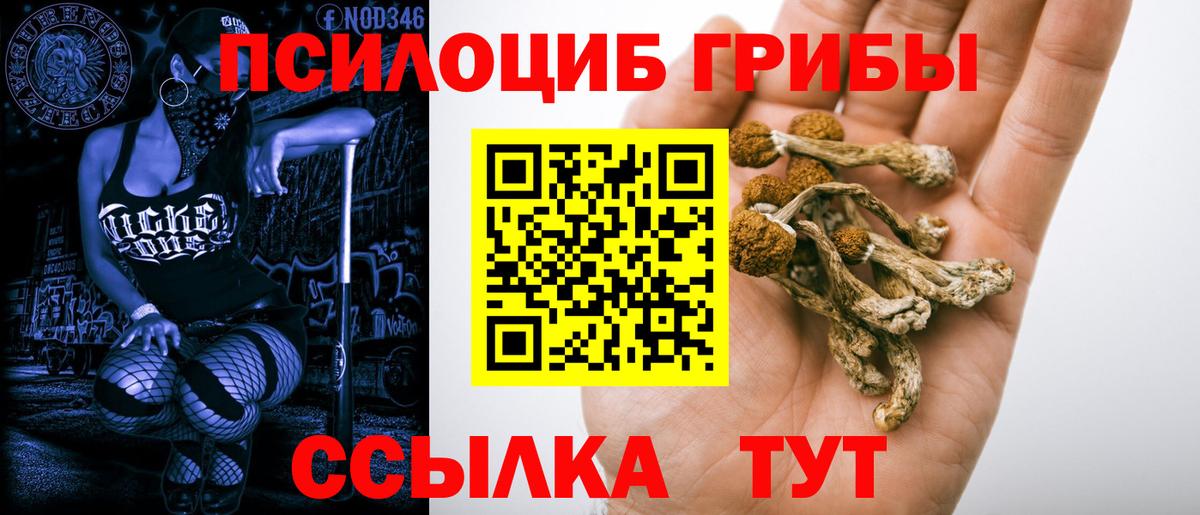Новокубанск  Псилоцибиновые грибы GOLDEN TEACHER  закладки  Вход с VPN 